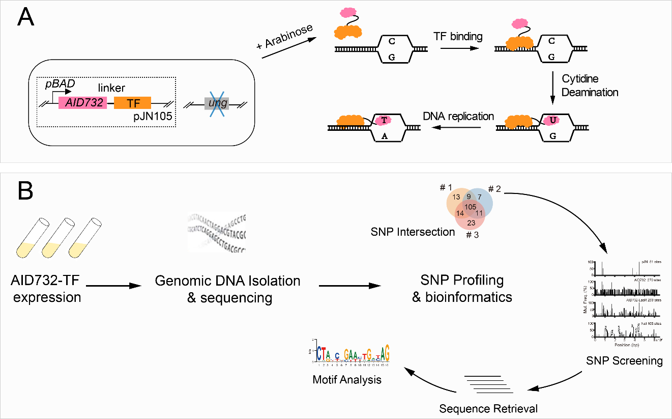 beat365在线体育app