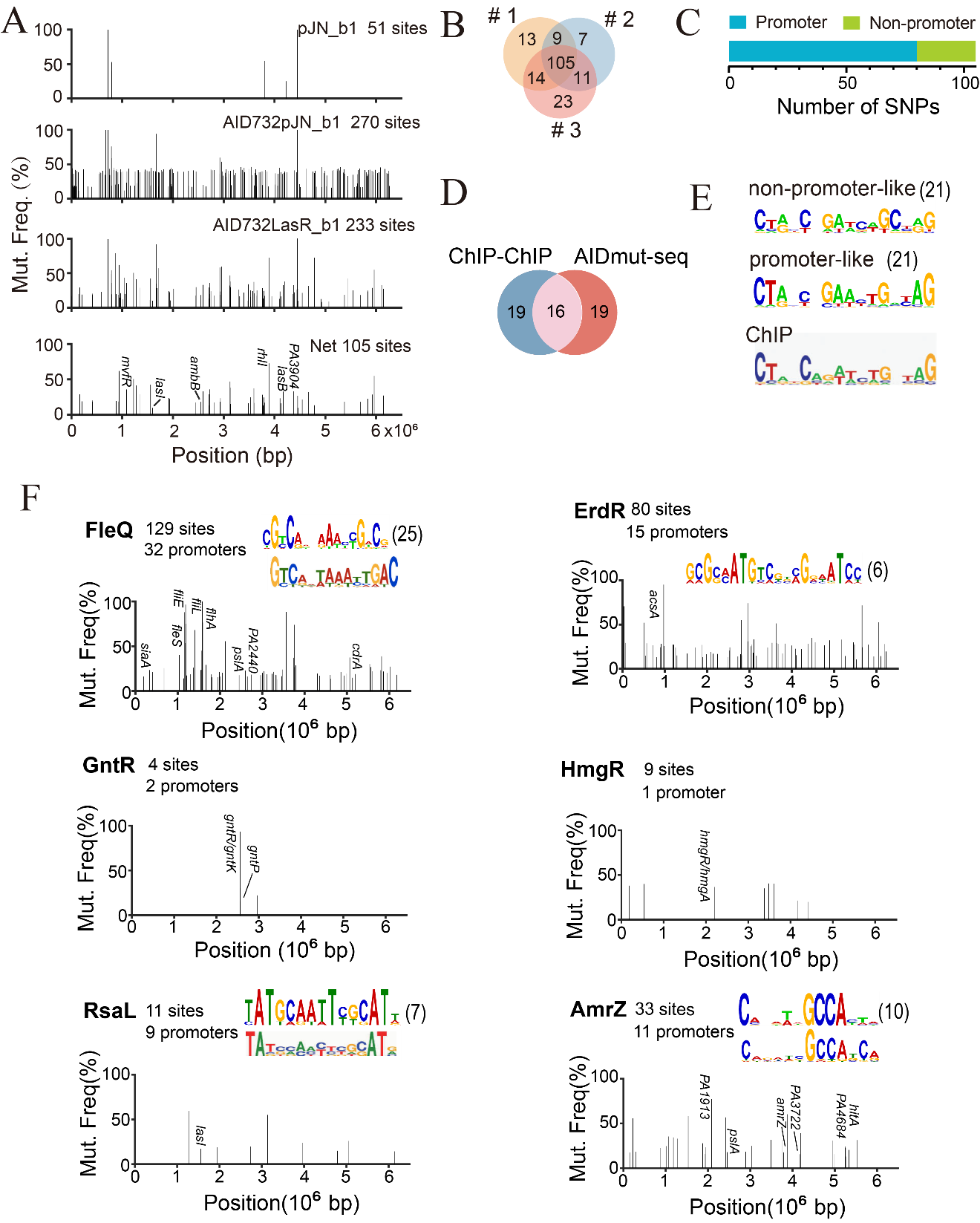 beat365在线体育app