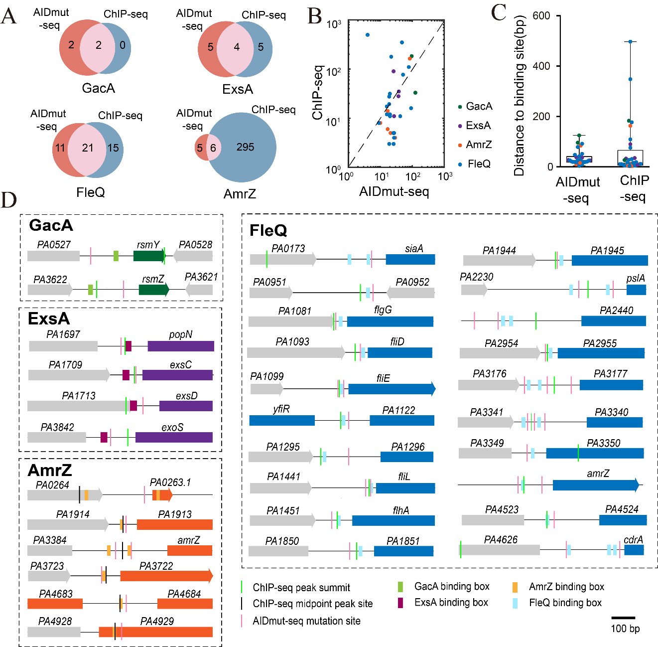 beat365在线体育app