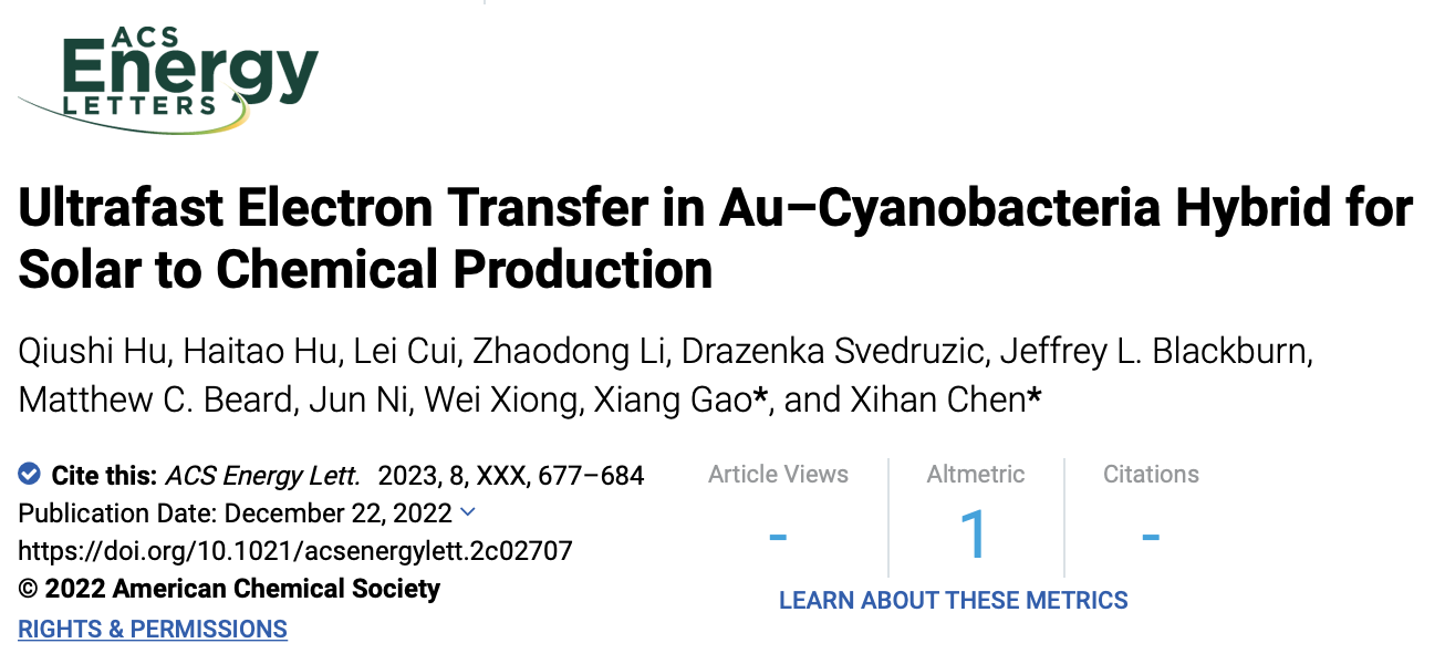 beat365在线体育app