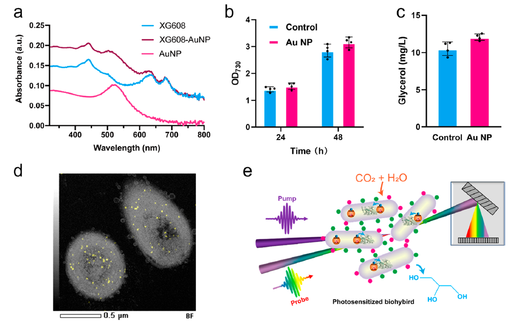 beat365在线体育app
