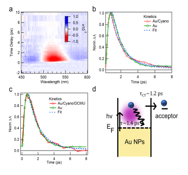 beat365在线体育app