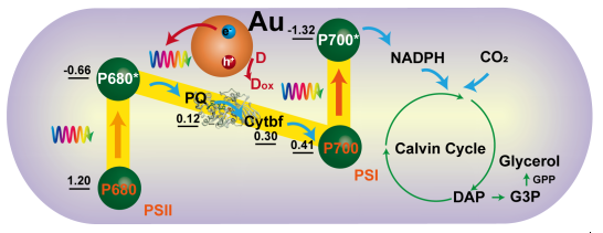 beat365在线体育app