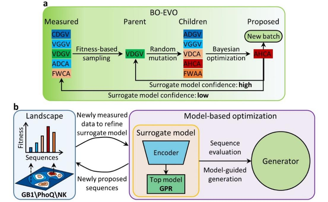 beat365在线体育app