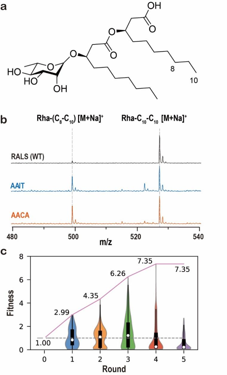 beat365在线体育app