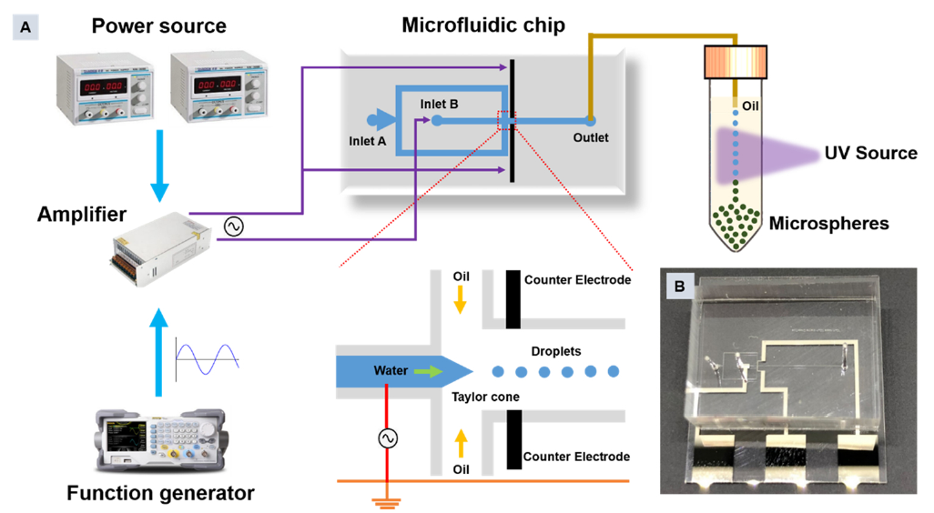 beat365在线体育app