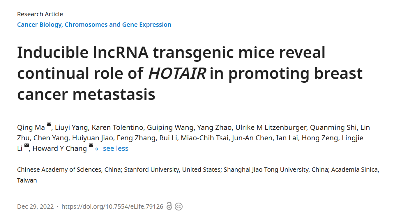 beat365在线体育app