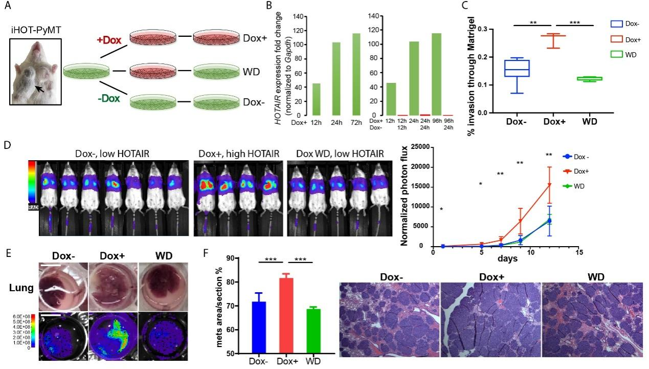beat365在线体育app