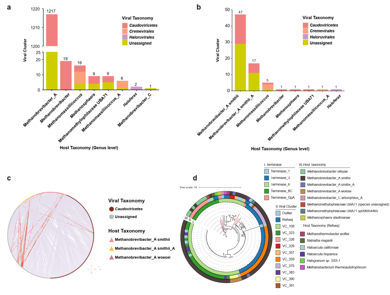 beat365在线体育app