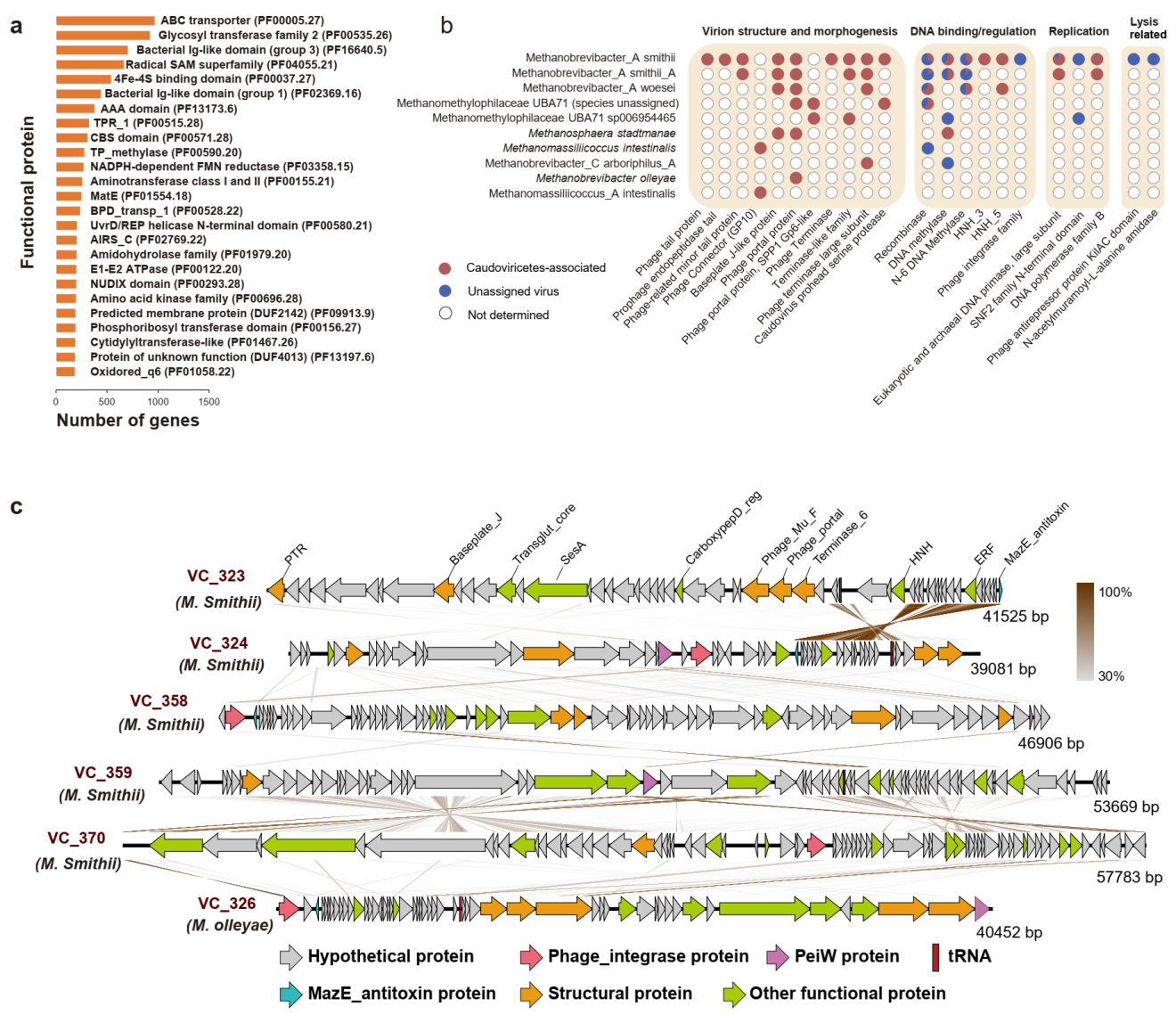 beat365在线体育app