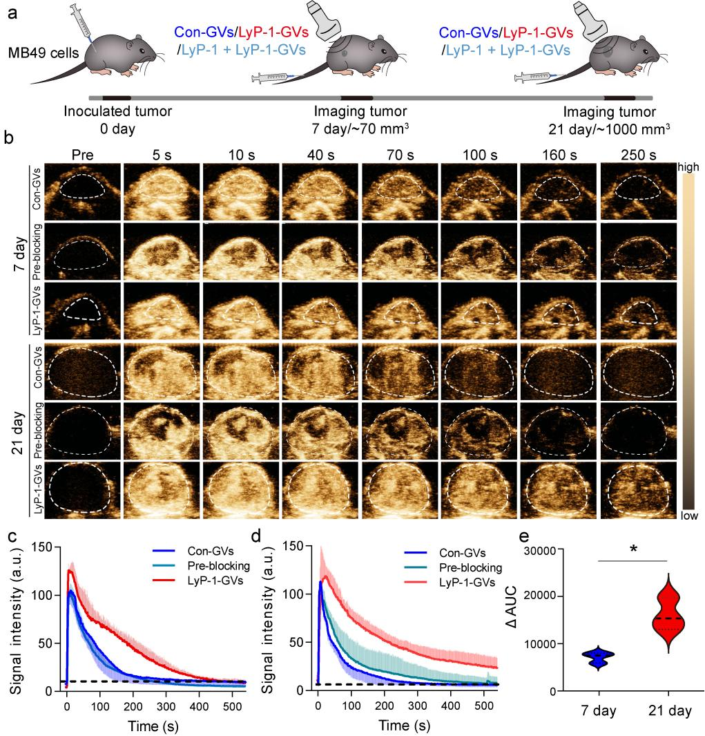 beat365在线体育app