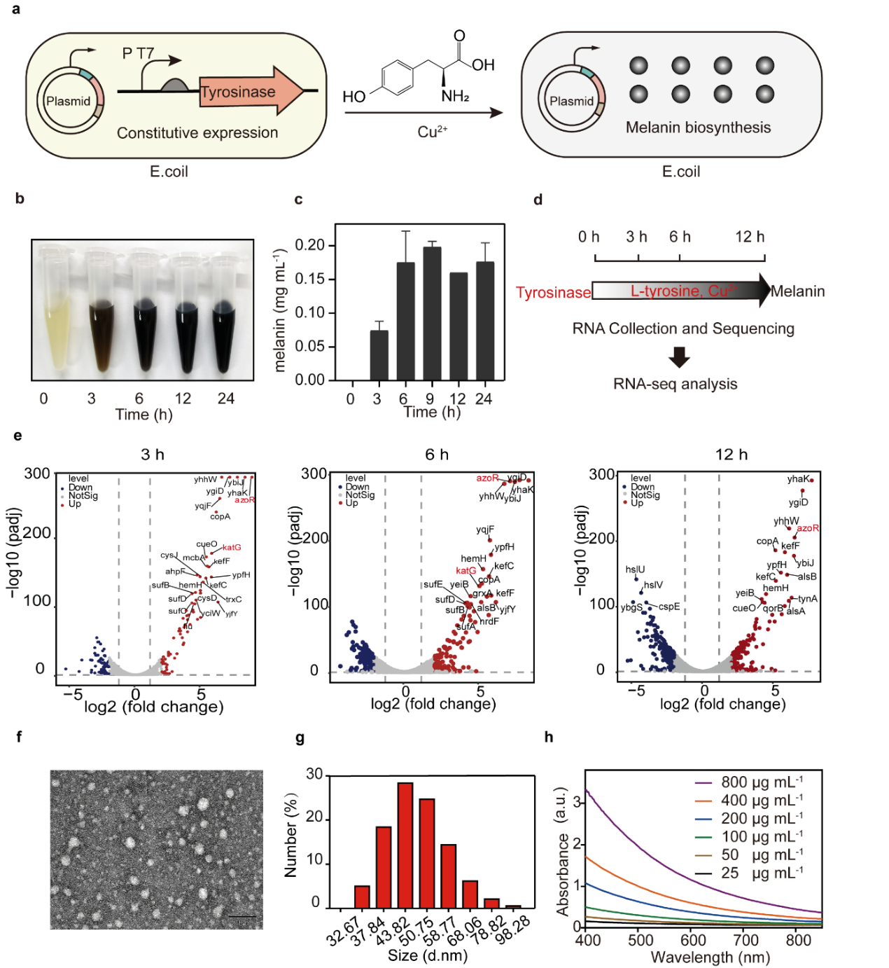 beat365在线体育app