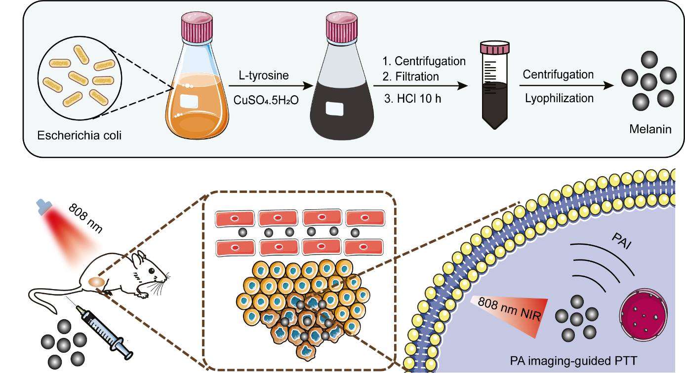 beat365在线体育app