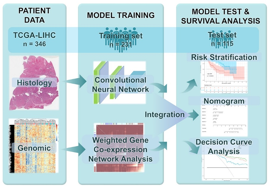 beat365在线体育app