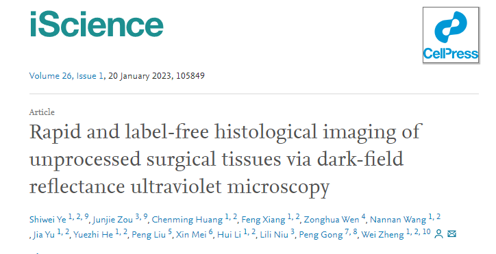 beat365在线体育app