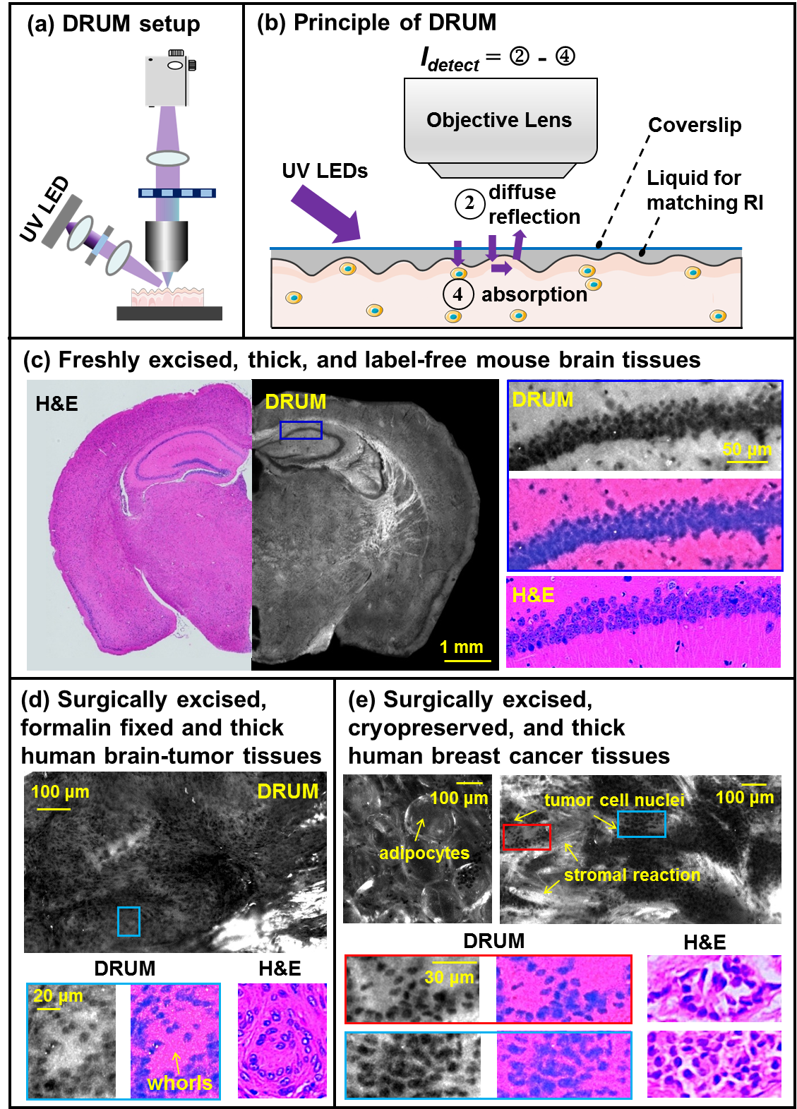 beat365在线体育app