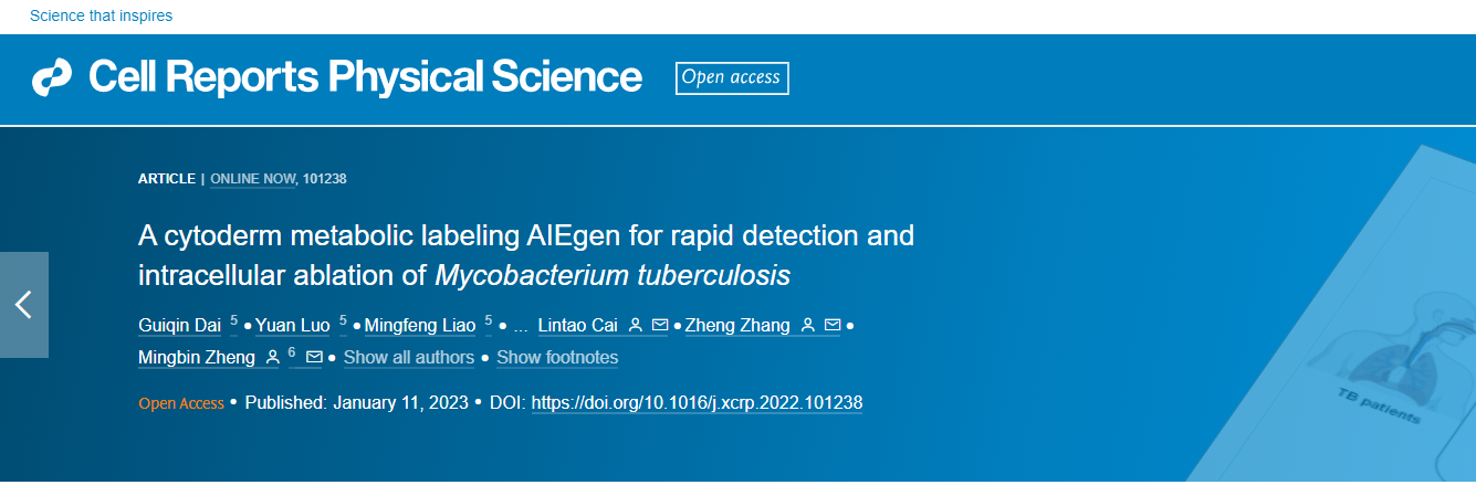 beat365在线体育app