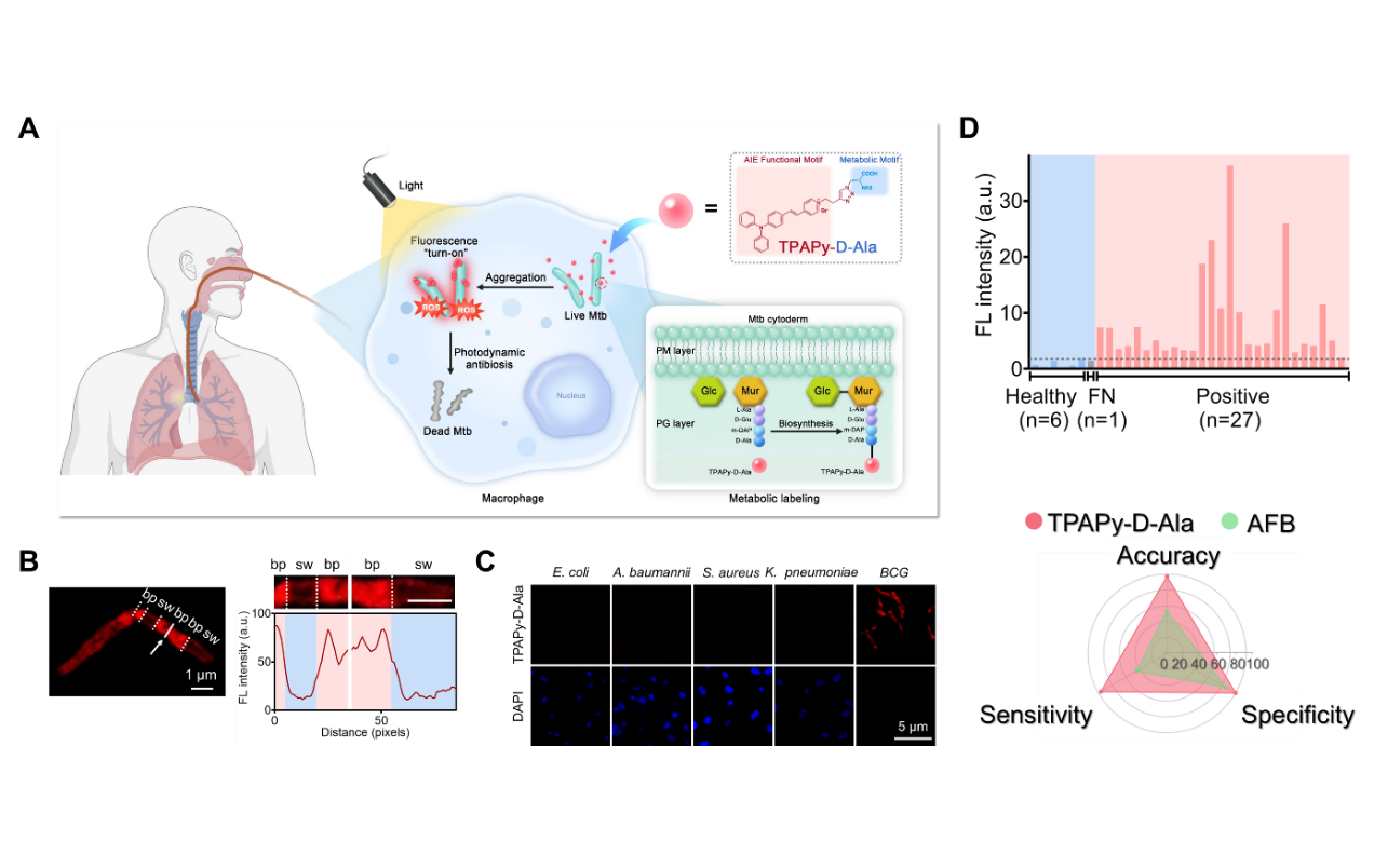 beat365在线体育app