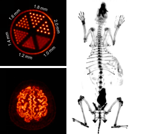 beat365在线体育app