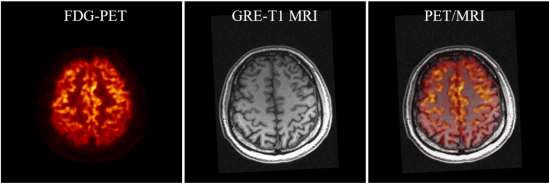 beat365在线体育app