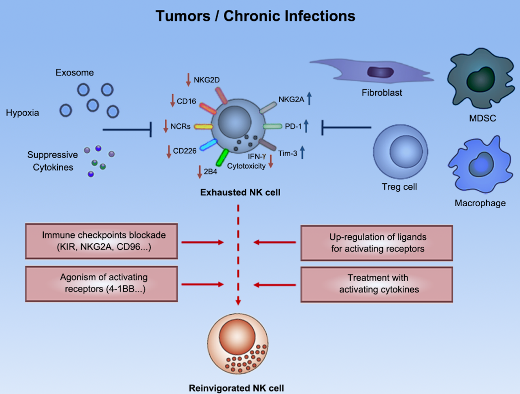 beat365在线体育app
