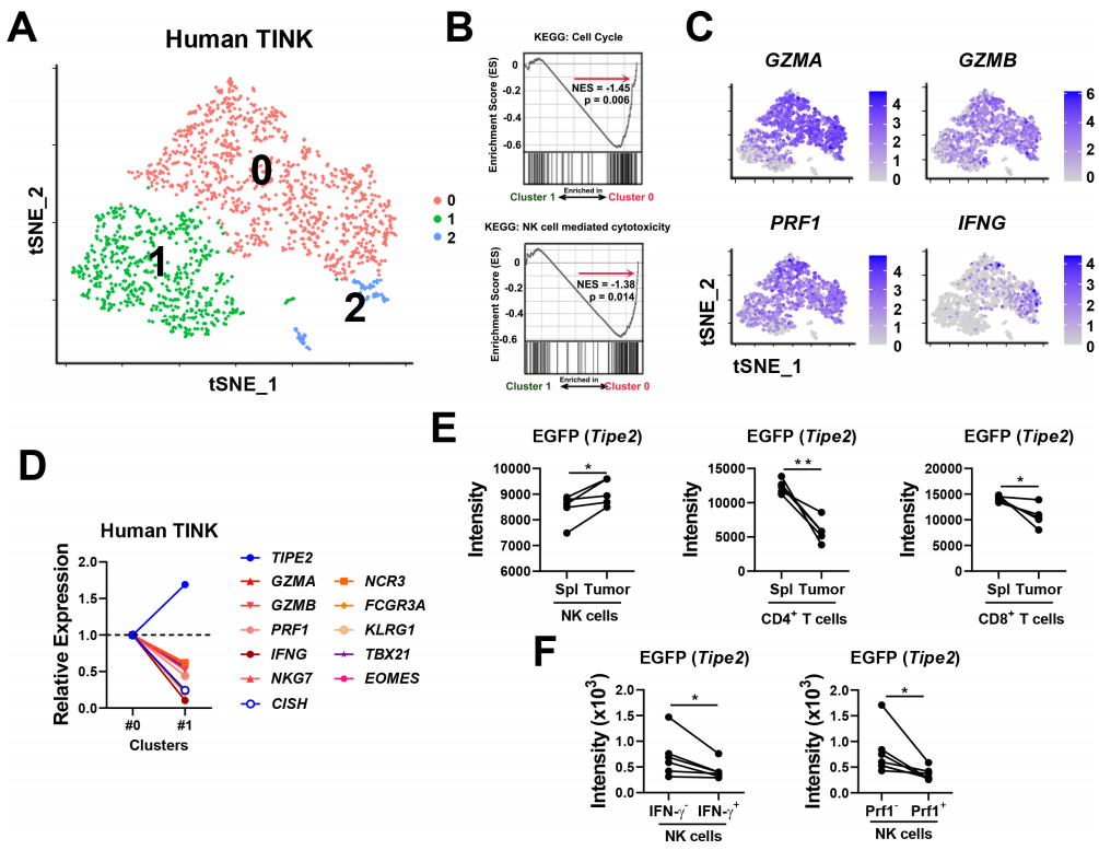 beat365在线体育app