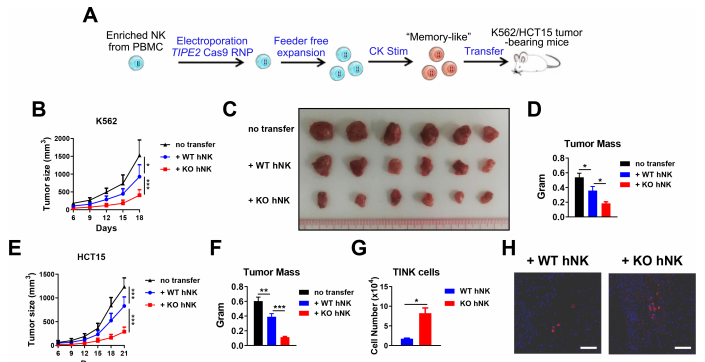 beat365在线体育app