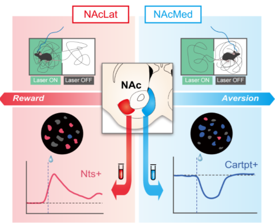 beat365在线体育app