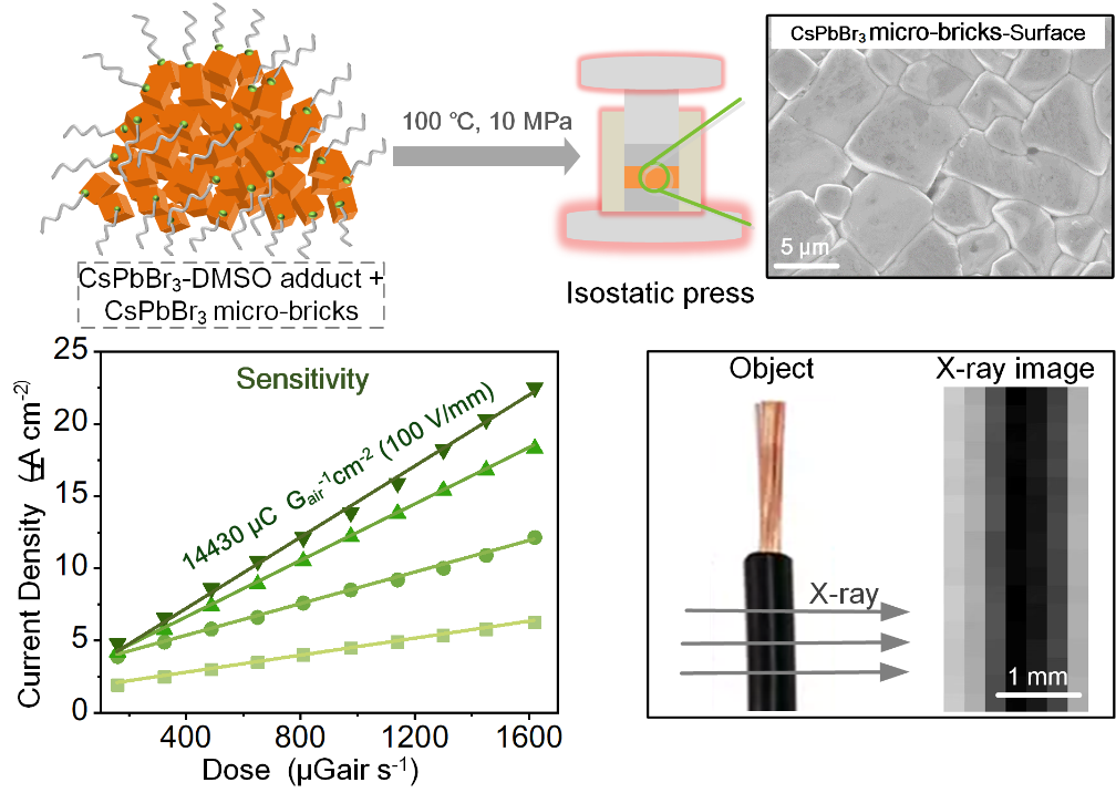 beat365在线体育app