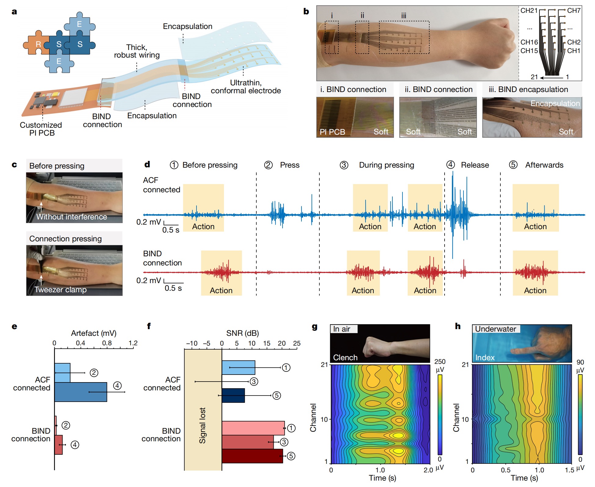 beat365在线体育app