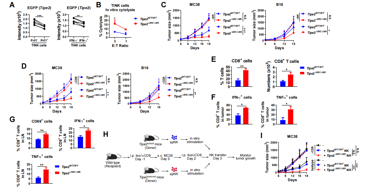 beat365在线体育app