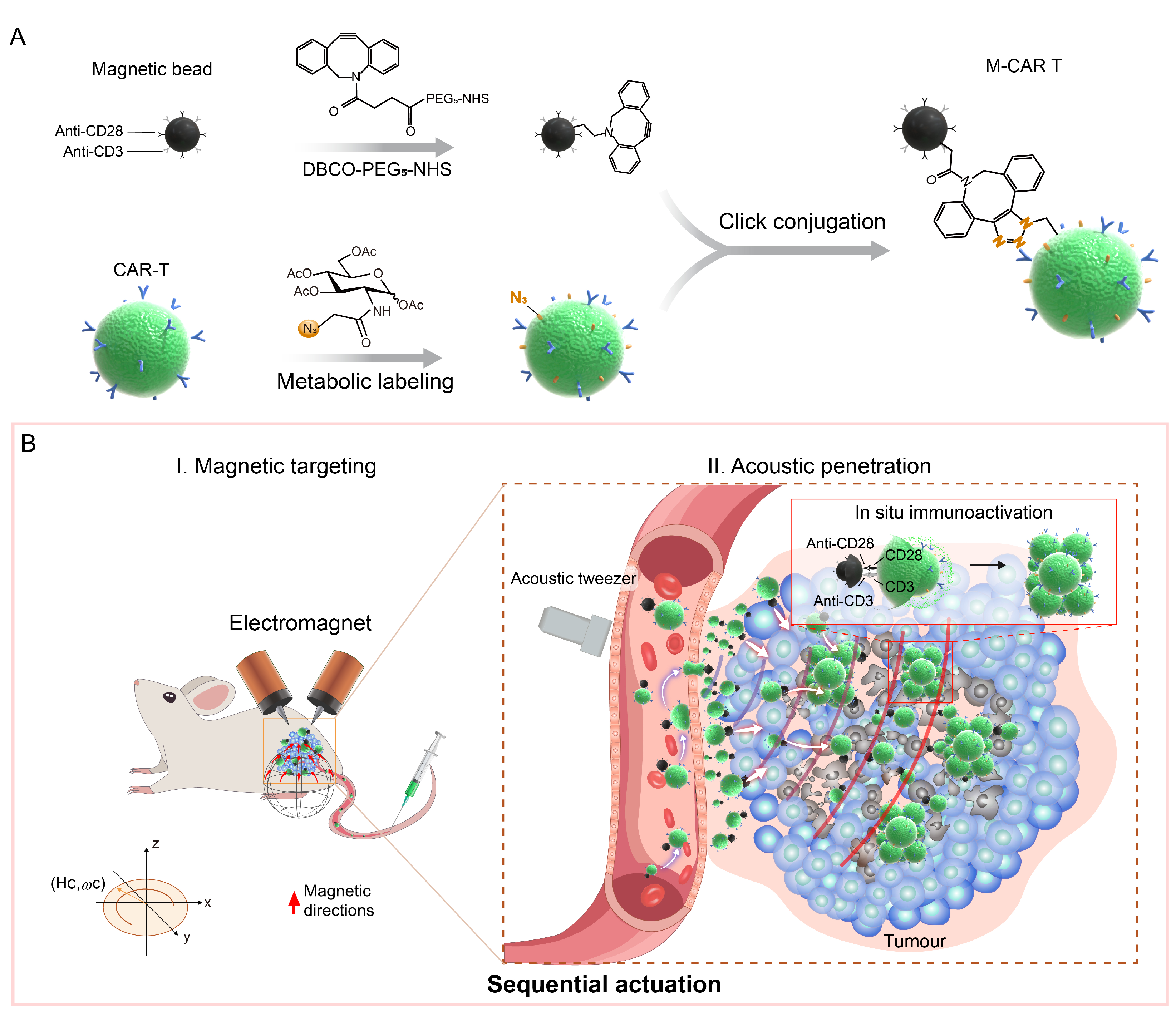 beat365在线体育app