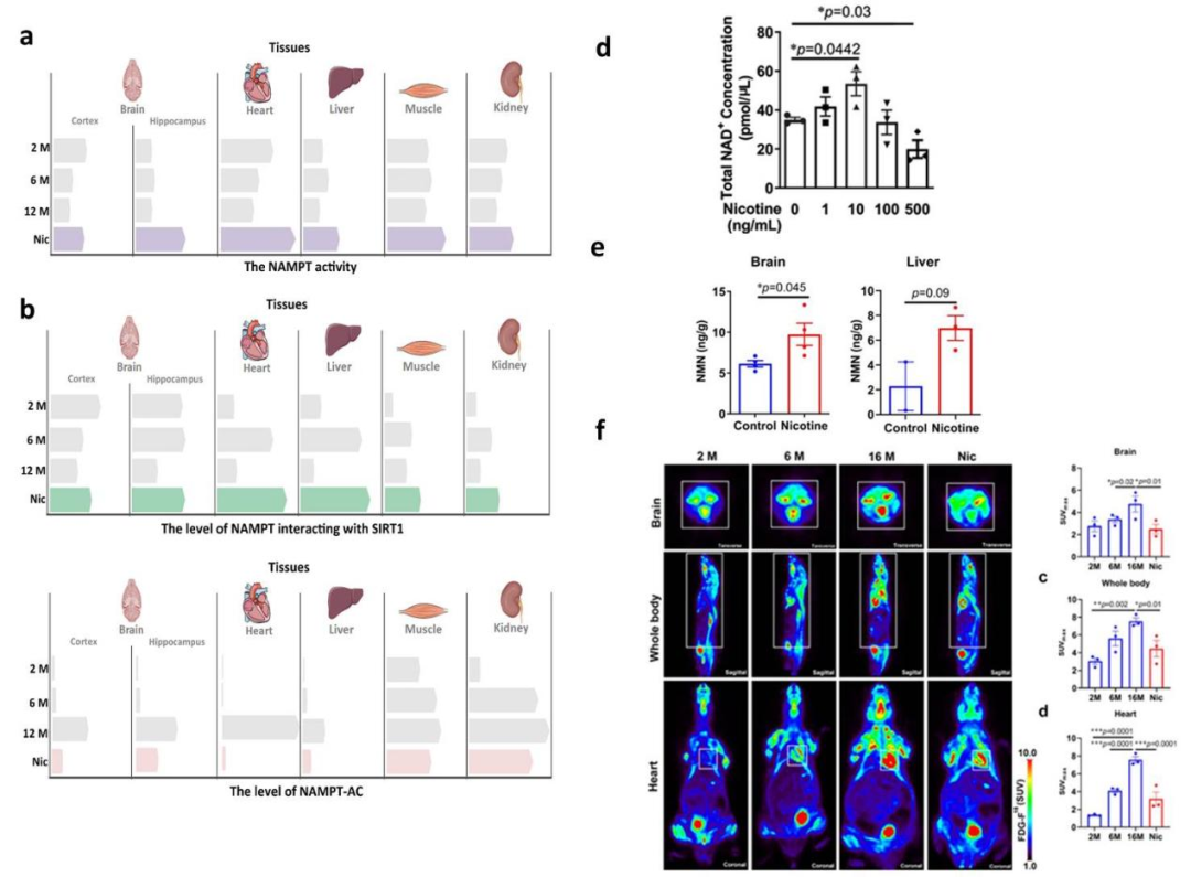beat365在线体育app