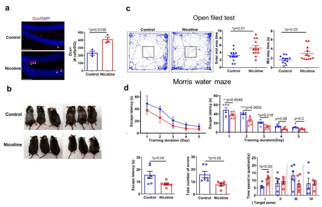 beat365在线体育app