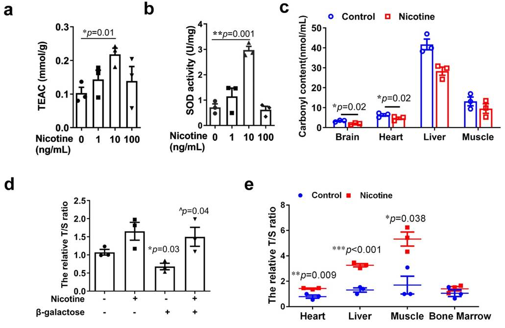 beat365在线体育app