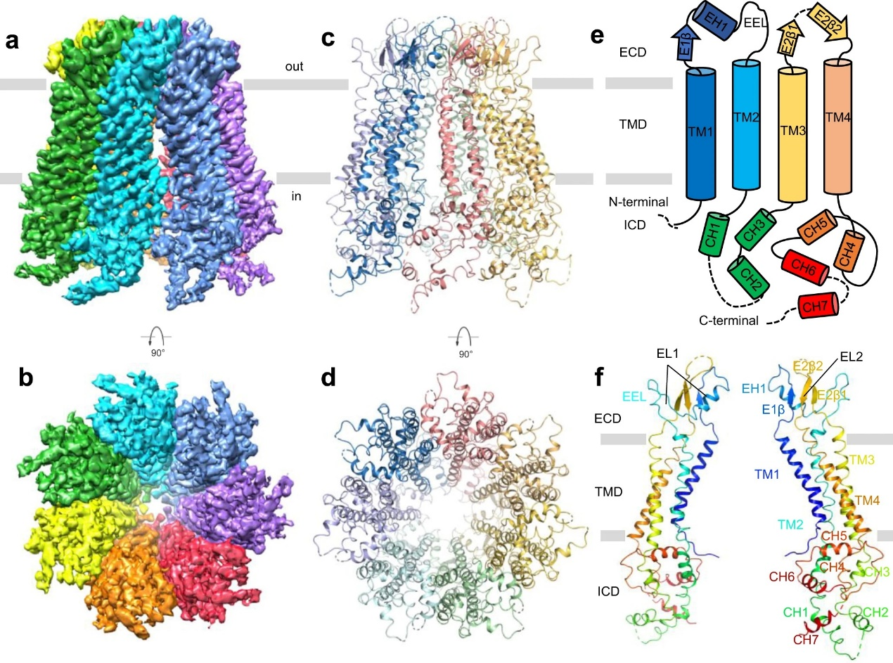 beat365在线体育app