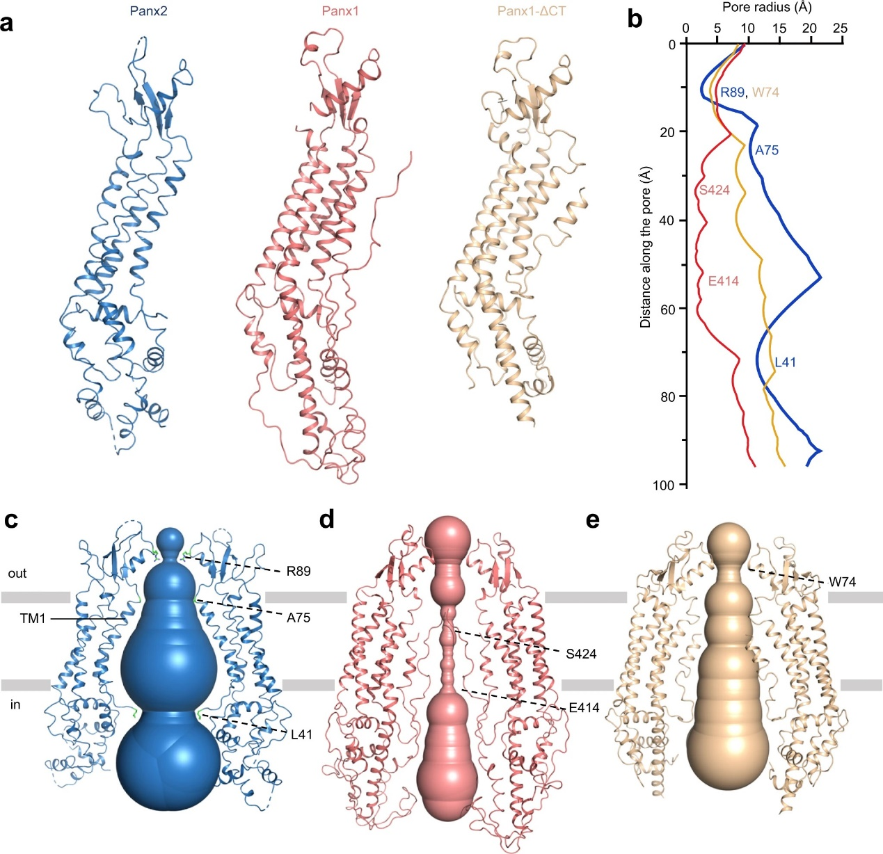 beat365在线体育app