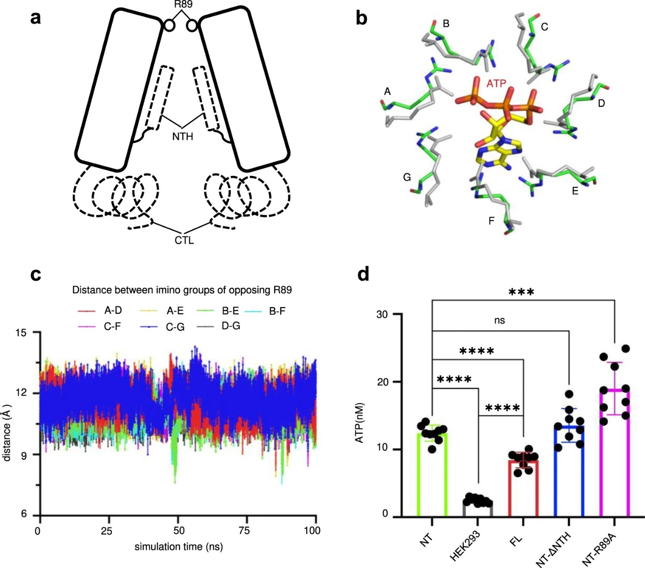 beat365在线体育app