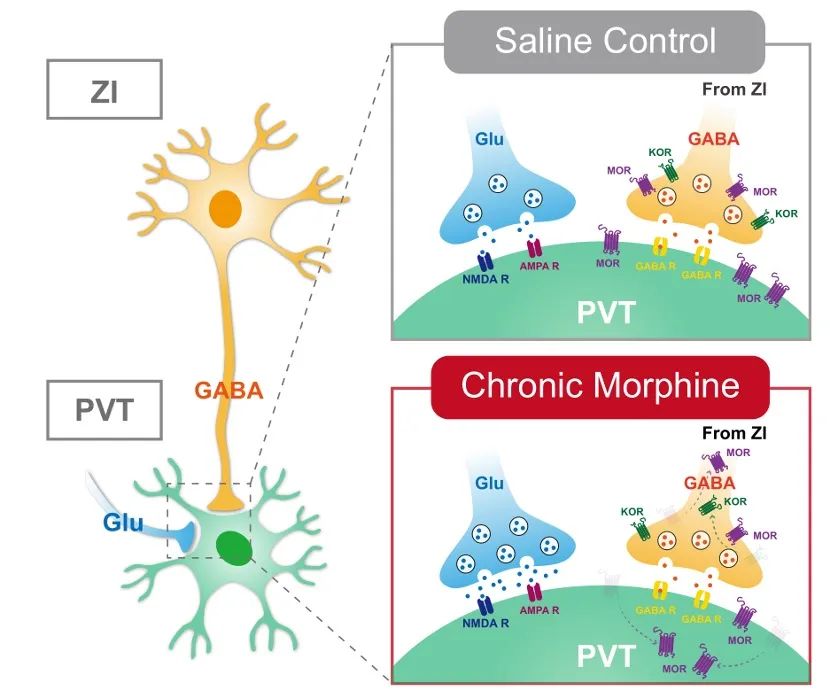 beat365在线体育app