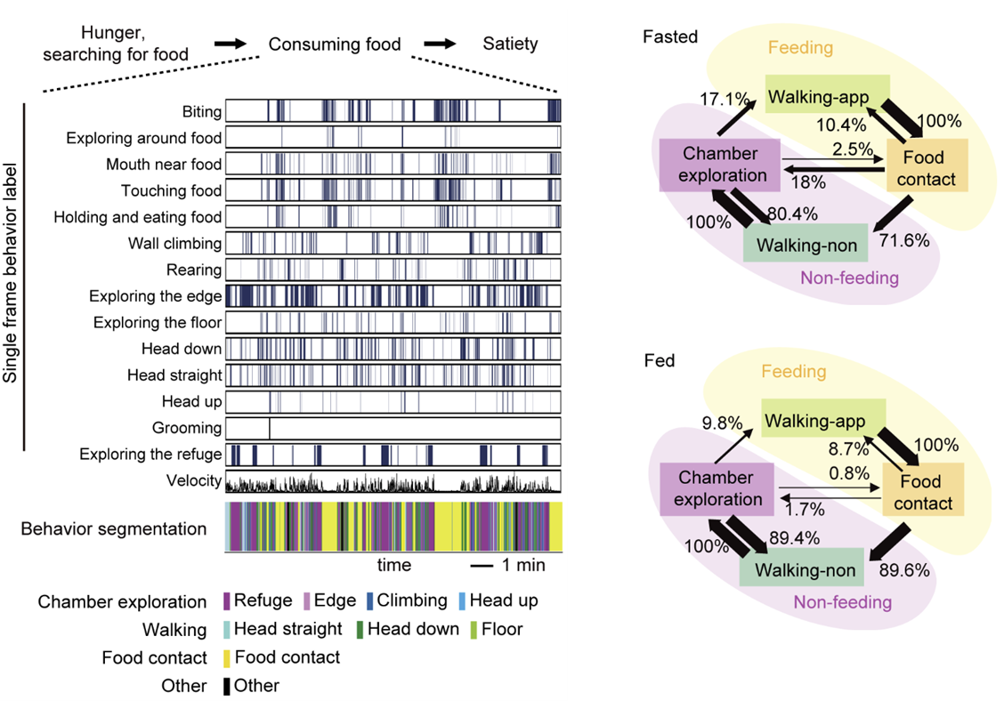 beat365在线体育app
