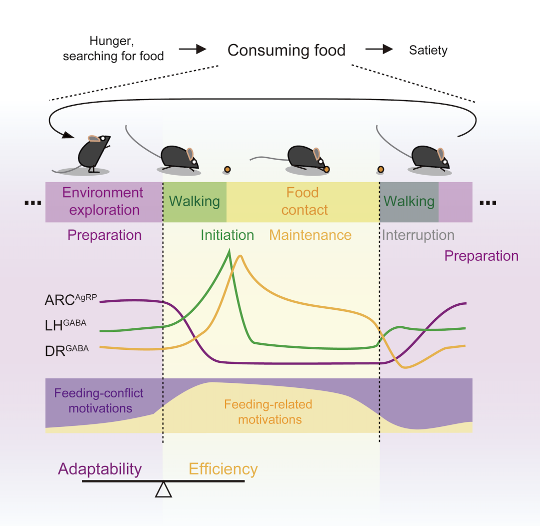 beat365在线体育app