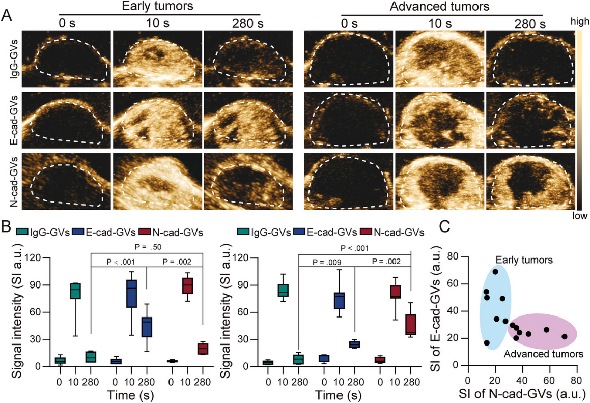 beat365在线体育app