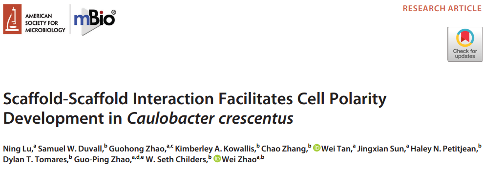 beat365在线体育app
