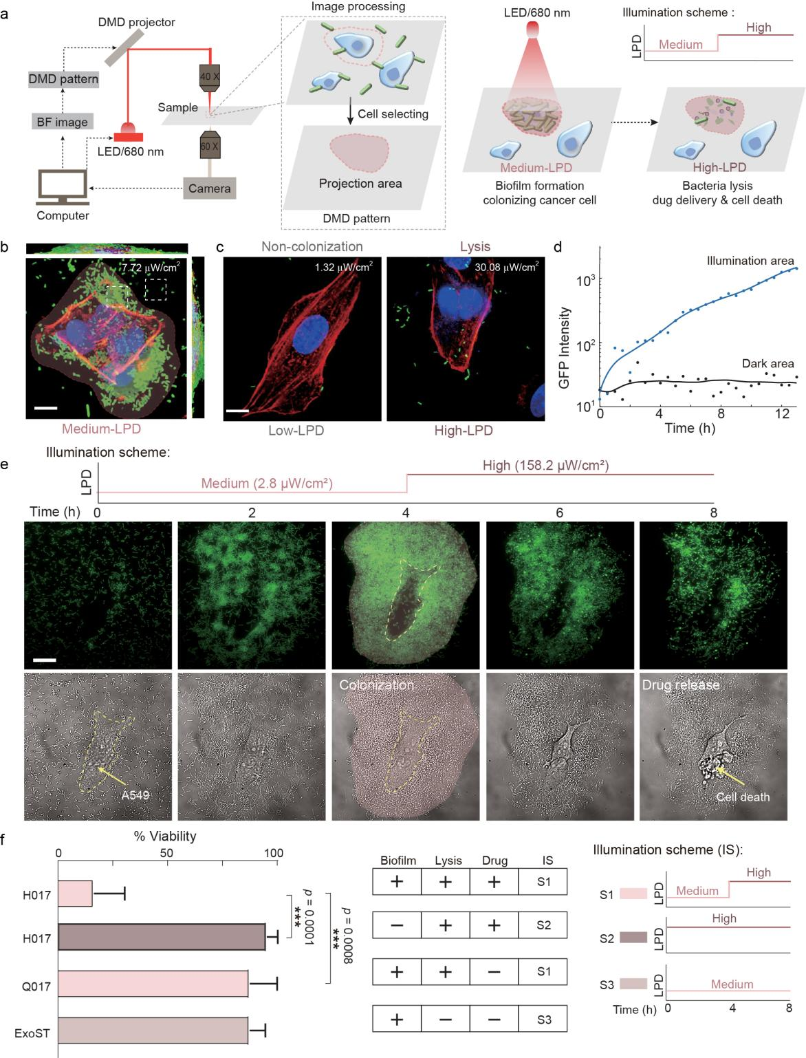 beat365在线体育app
