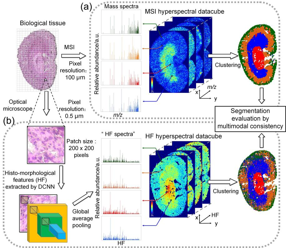 beat365在线体育app