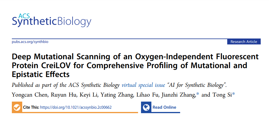 beat365在线体育app