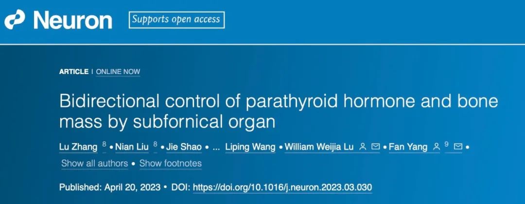 beat365在线体育app