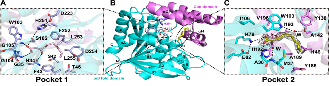 beat365在线体育app