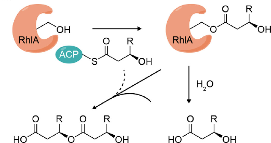 beat365在线体育app