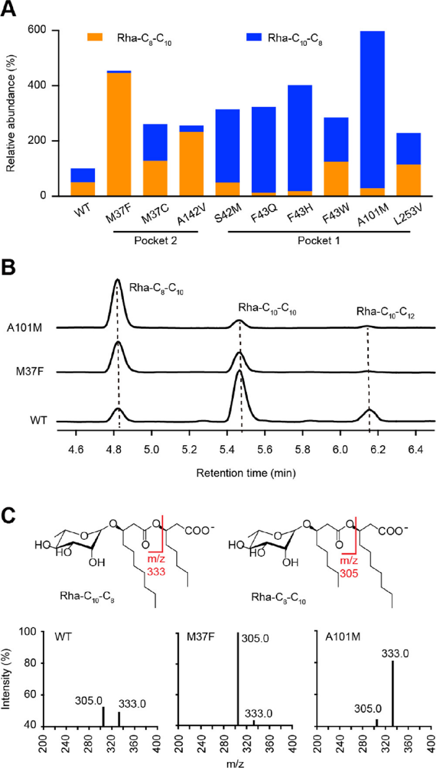 beat365在线体育app